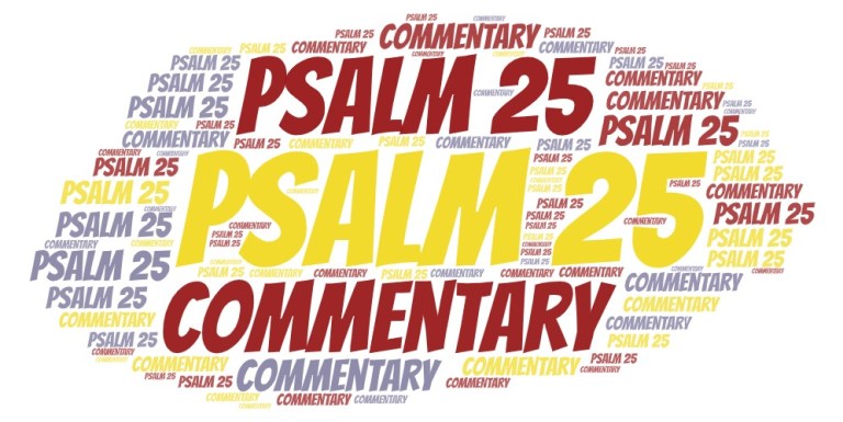 Psalm 25 Commentary – Explaining The Book