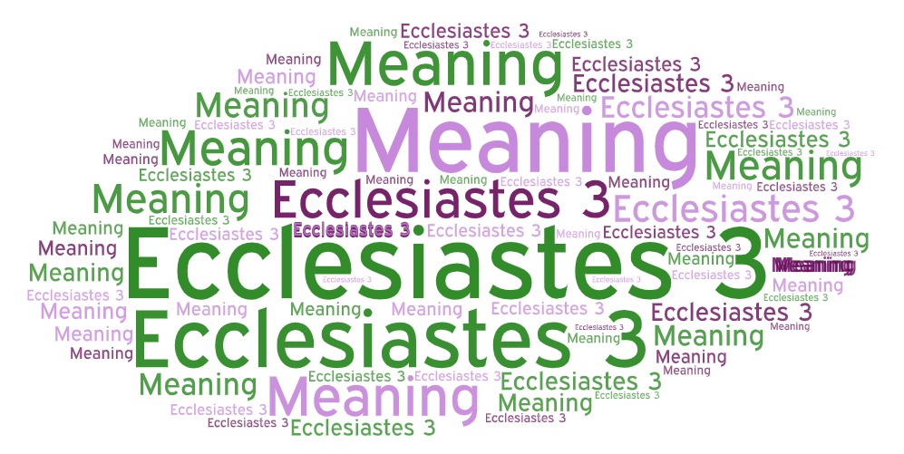 Ecclesiastes 3 Meaning&nbsp;Commentary