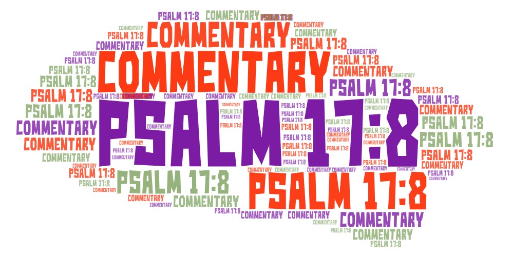Psalm 17 8&nbsp;Meaning